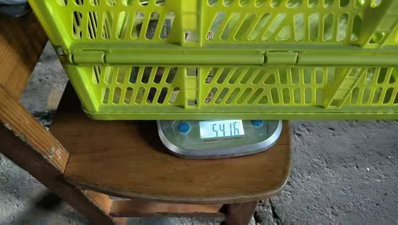 Hollow shopping basket